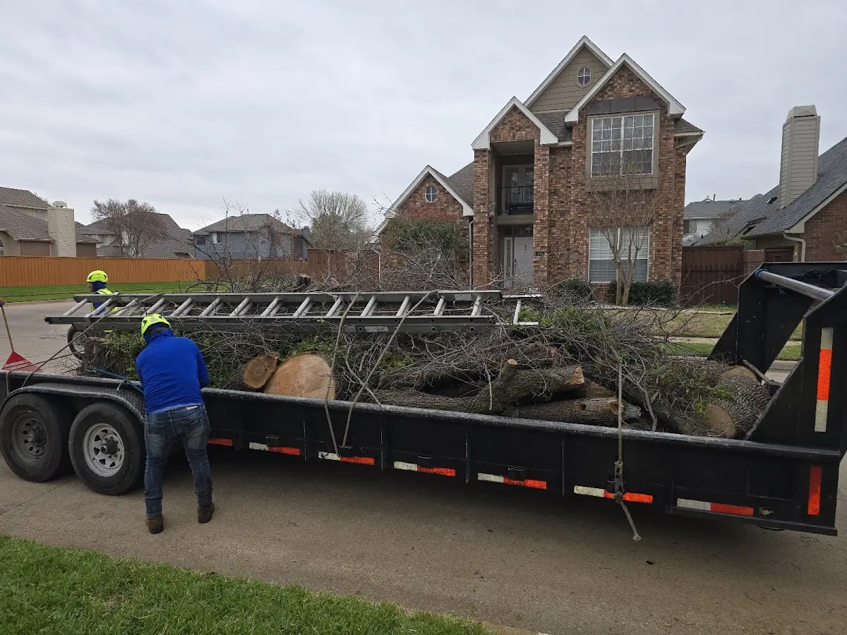 Expert Tree Fertilization with proper safety equipment in Danforth